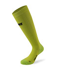 LENZ00137-LIME-0